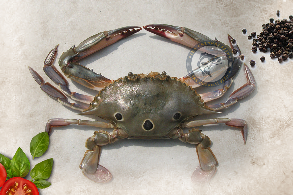 Three Spot Crab / மூன்று புள்ளி நண்டு - (1kg)